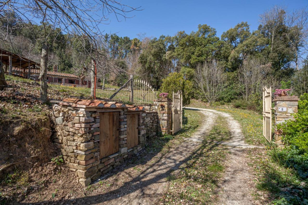 Villa Casa Nel Bosco Sassetta Exterior foto