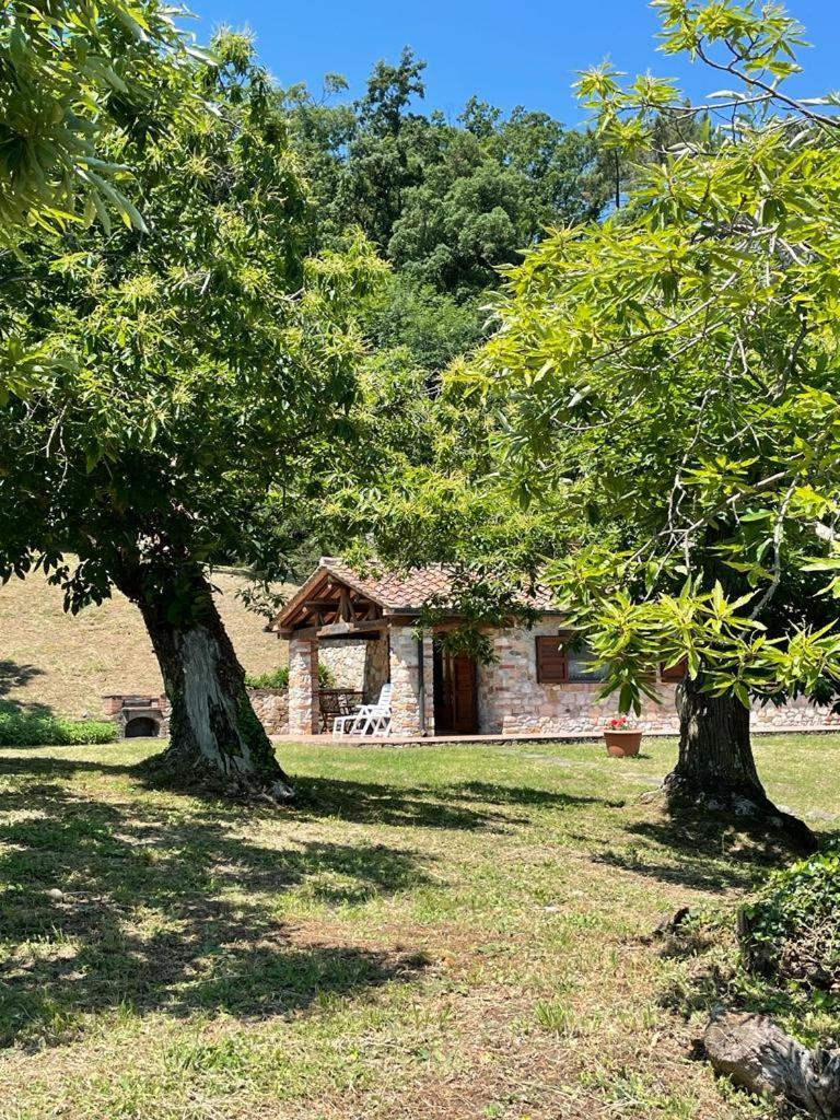 Villa Casa Nel Bosco Sassetta Exterior foto
